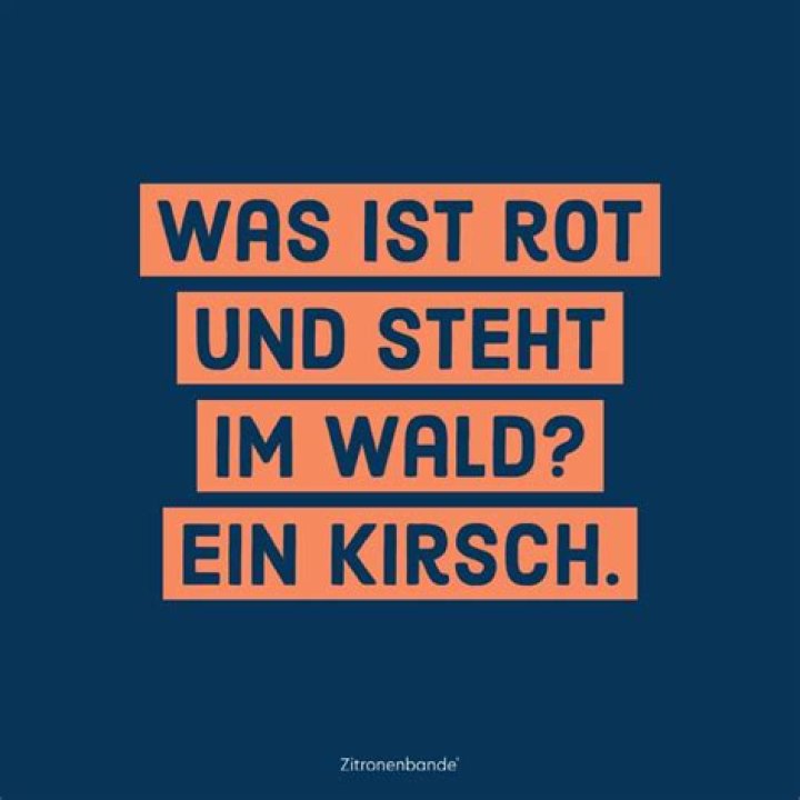 „Die Witze sind richtig lustig“