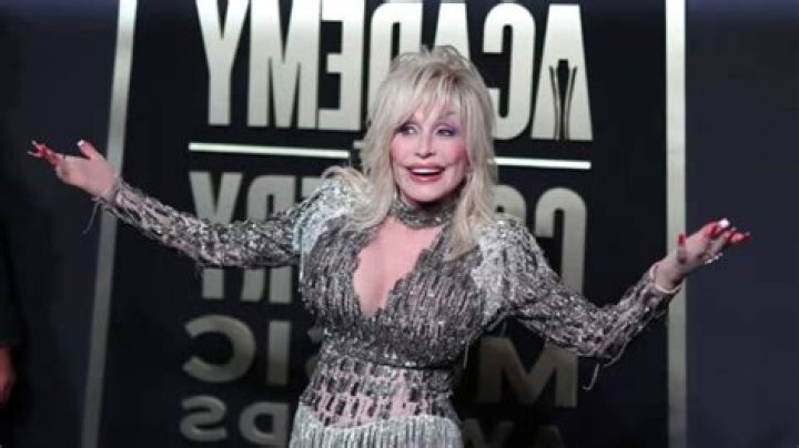 Dolly Buster Vermögen