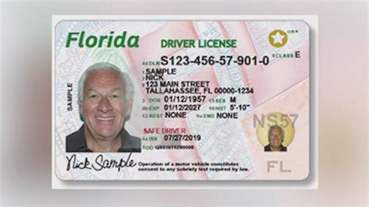 	Driver’s licenses with fresh new look arrive in South Florida	