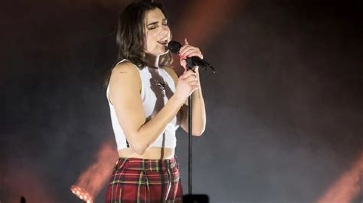 Dua Lipa Vermögen