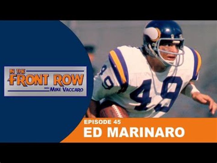 Ed Marinaro Net Worth 2024