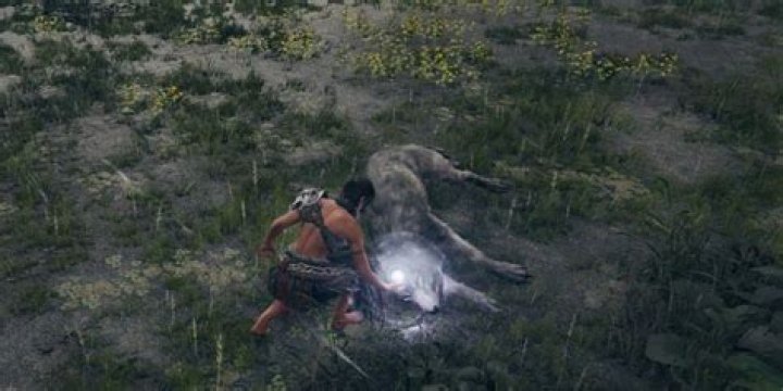 Elden Ring Dream Stealing Discovered in Cut Content