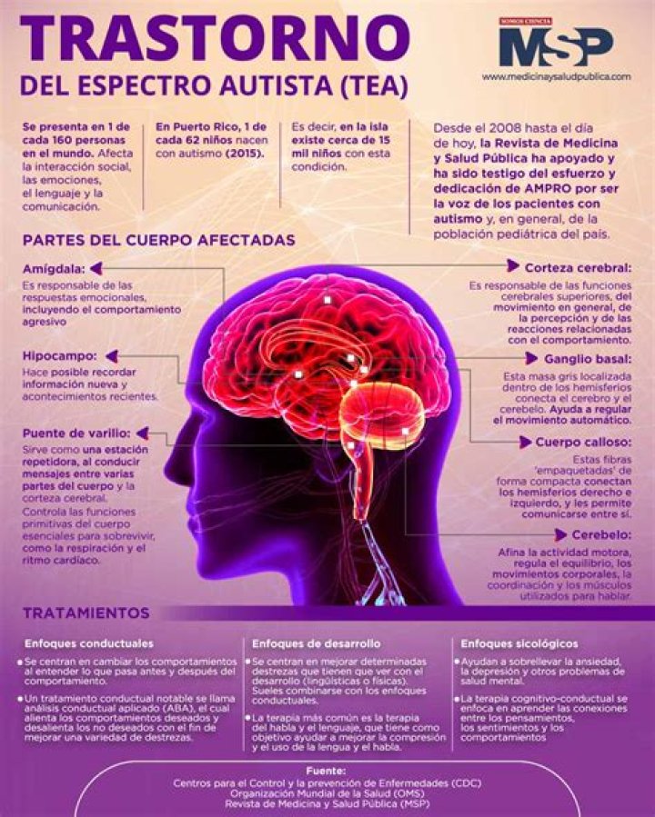 Encuentran pruebas de que el autismo comienza a desarrollarse durante el embarazo