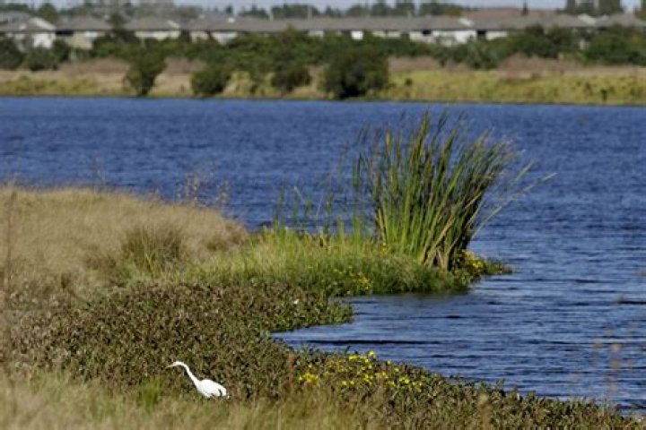 
Environment |	Florida seeks stay in wetlands permitting case	