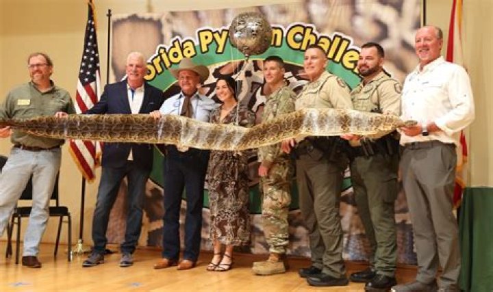 
Environment |	Pythons galore: Family catches 20 snakes to win $10,000 grand prize	