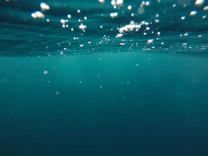 
Environment |	‘We’ll never be done’: The growing challenge to remove thousands of car tires from ocean floor	