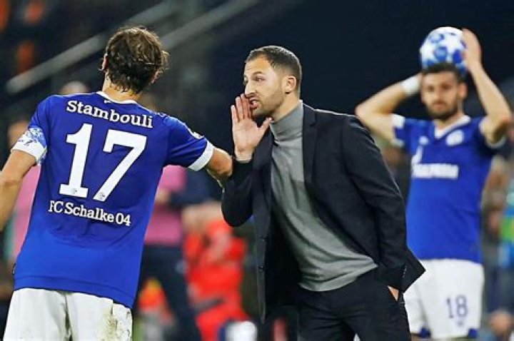 Es besteht Hoffnung - Warum Schalke mit Domenico Tedesco… – 11FREUNDE