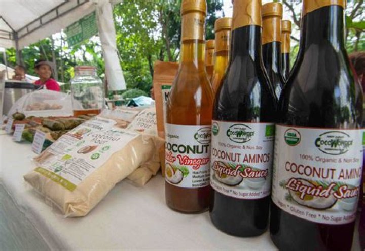Exploring Halococo: The Future Of Coconut-Based Products