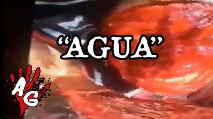 Exploring The Controversy Of Quiero Agua Video Gore