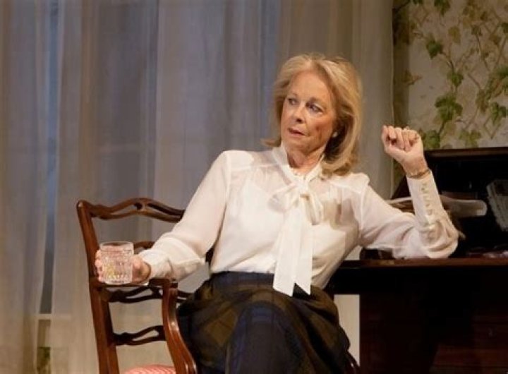 Exploring The Life And Career Of Maureen Anderman