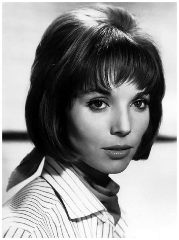 Exploring The Life And Legacy Of Elsa Martinelli’s Spouse