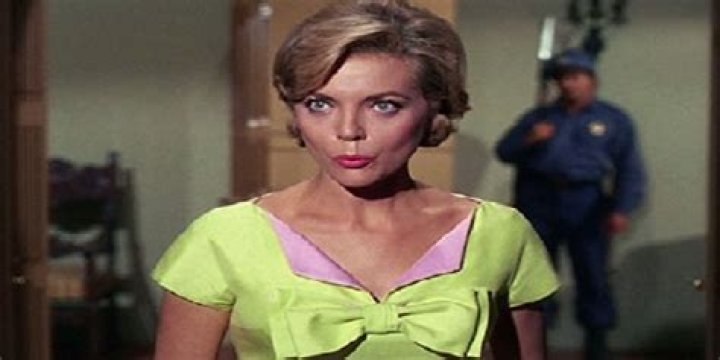 Exploring The Timeless Talent Of Barbara Bain: Age And Impact