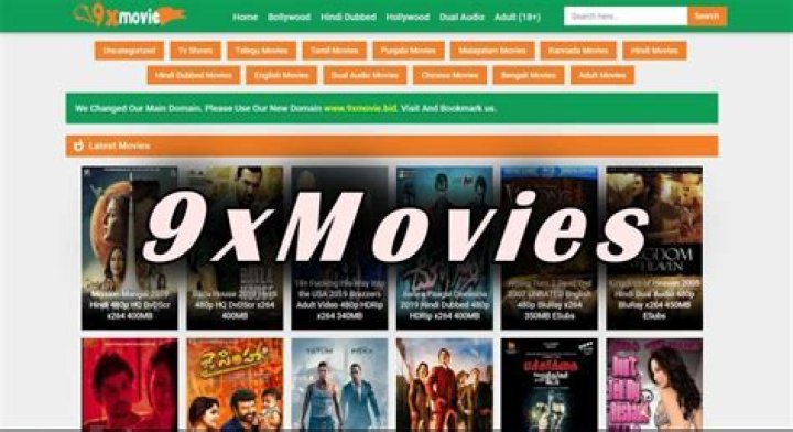 Exploring The World Of 9xmovies Original Web Series
