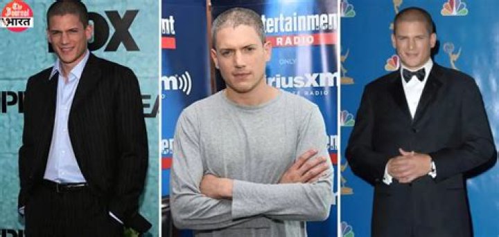 Exploring Wentworth Miller's Ex-Girlfriend: A Deep Dive