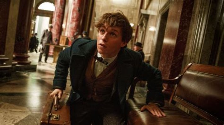 Fantastic Beasts and Where to Find Them review: Marvelous theme park, adequate film
