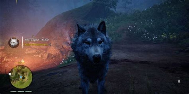 Far Cry Primal: How to Tame All Animals and What They Do