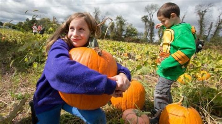 	FARM TOUR: Pumpkin picking, other fall fun highlighted in Northampton County	
