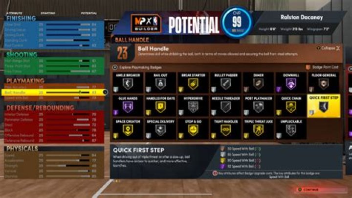 Finishing, Shooting, Playmaking and Defense/Rebounding