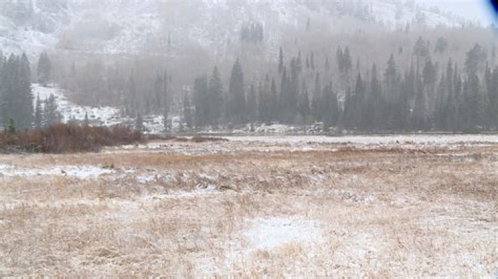 First snow of the season in Big Cottonwood Canyon