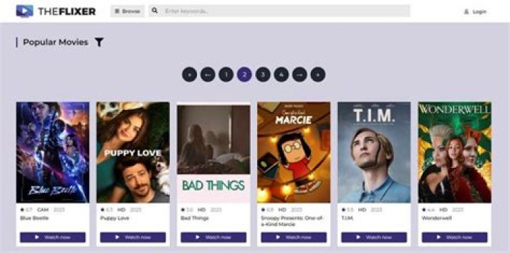 Flixer: The Ultimate Guide To Streaming Movies And Shows