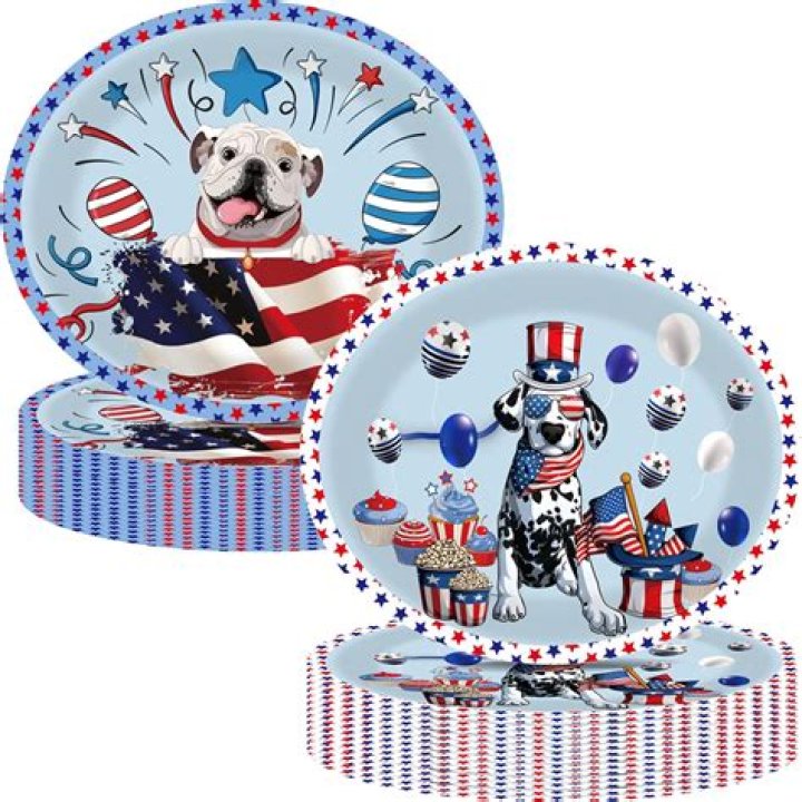 	FLORIDA DRIVERS GET PATRIOTIC PLATE IN TIME FOR SEPT. 11	