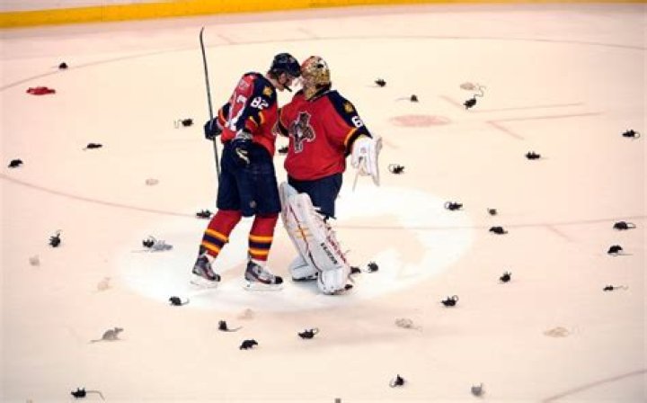 
Florida Panthers |	Rats on ice: A look back at a Florida Panthers hockey tradition | PHOTOS	