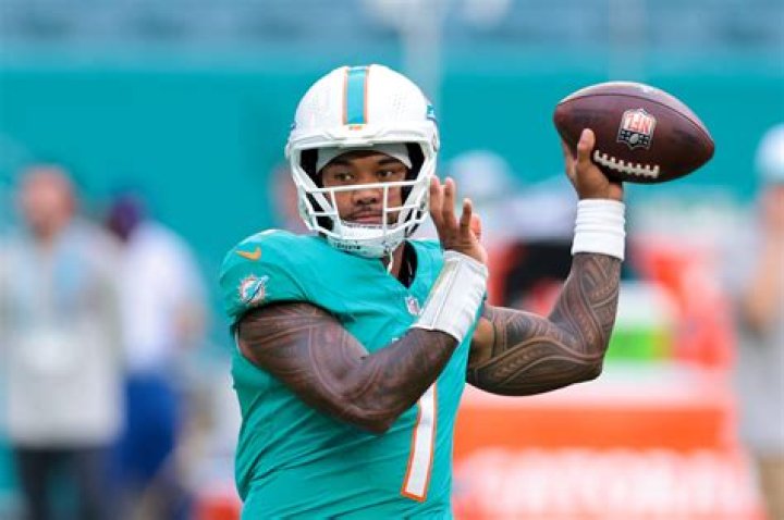 	FOOTBALL NUPTIALS TURN DOLPHINS INTO FAMILY	