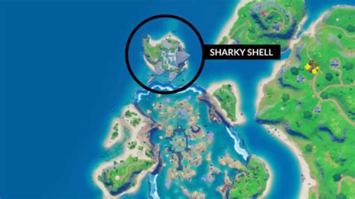 Fortnite Sharky Shell Location