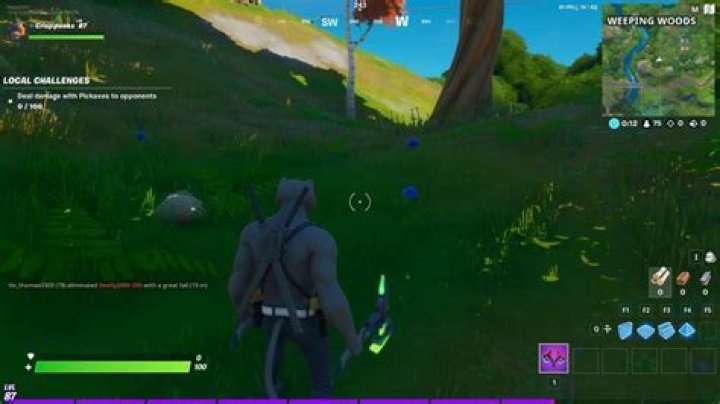 Fortnite: Stoke a Campfire, Consume Foraged Apple & Mushroom in Single Match Guide