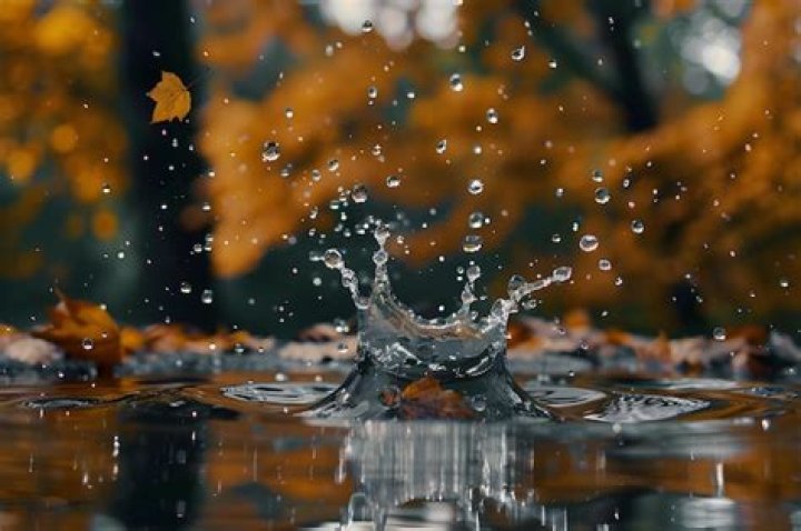 Frozen Photos: Capturing Moments In Time