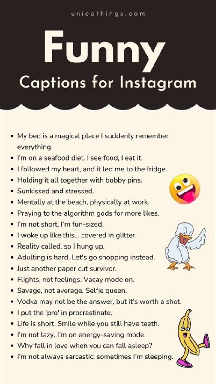 Funny Pics For Instagram: The Ultimate Guide To Make Your Followers Laugh