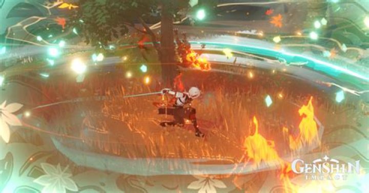 Genshin Impact Elemental Reactions and Resonance guide