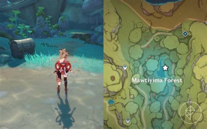 Genshin Impact guide: Aranyaka Mysterious Clipboard chest locations