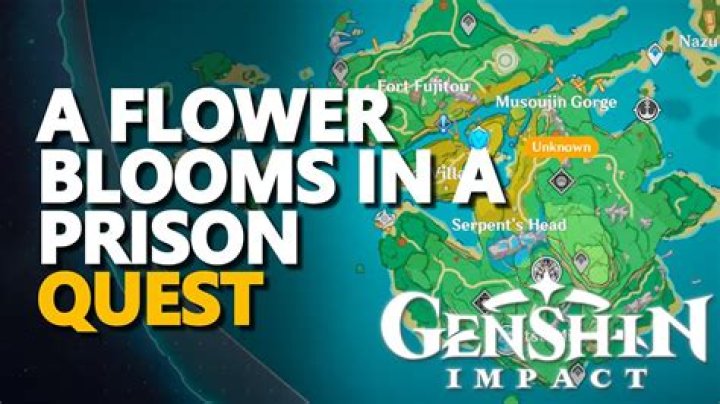 Genshin Impact: How to Start A Flower Blooms in a Prison Quest