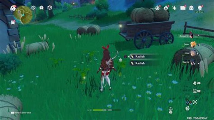 Genshin Impact: Where to Find Radishes
