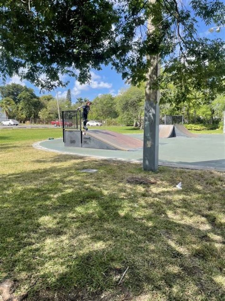 	GOLDMAN MEMORIAL PARK DEDICATION SET	