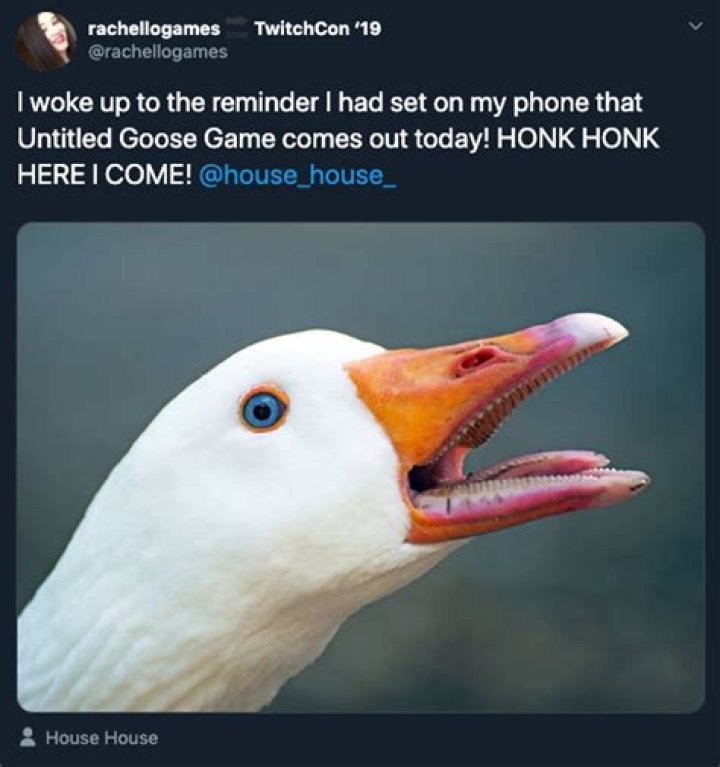 Goose Game Memes That’ll Make You Honk Until You Can Honk No More