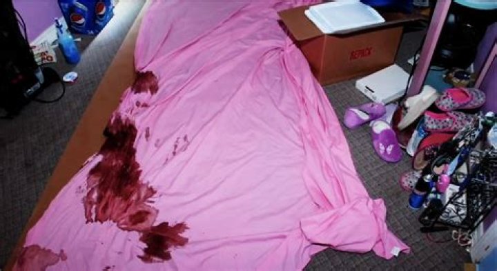 Gypsy Rose Crime Scene Photos: A Comprehensive Analysis Of The Case