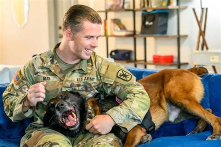 Hill Air Force Base's long-time drug dog retires with honors