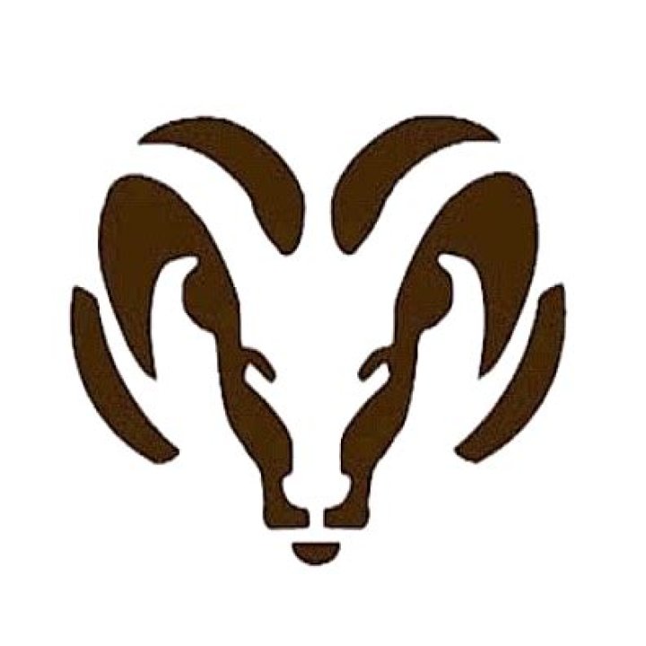 Holt Public School District - Michigan