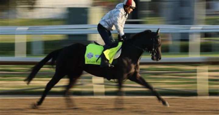 	HORSE RACING N.Y. TRAINER SUSPENDED — HORSES FAIL LASIX TEST	