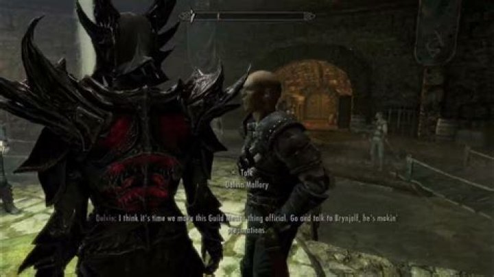 How big is a Thieves' guild?