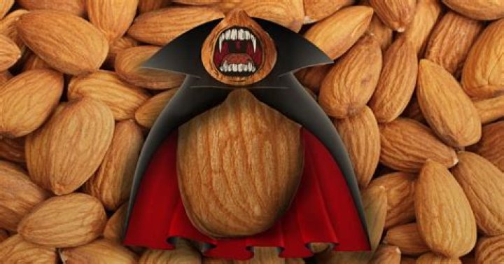 How China's taste for almonds is sucking drought-stricken California dry