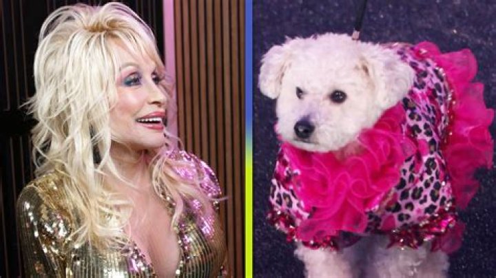 How Dolly Parton's pet dog saved her life when she was at her lowest