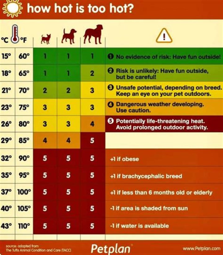 How Hot Is Too Hot?