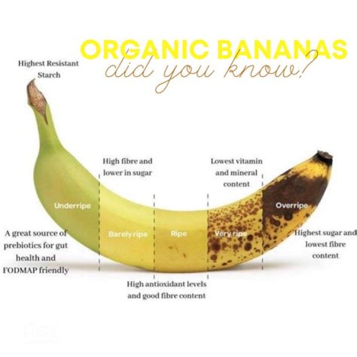 How Much Does Johnny Bananas Make Per Episode?