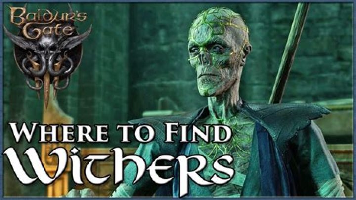 How to answer Withers' question in Baldur's Gate 3?