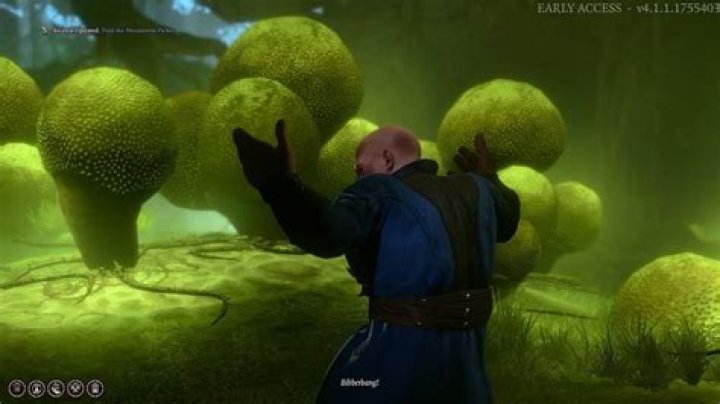How to deal with Bibberbangs in Baldur's Gate 3?