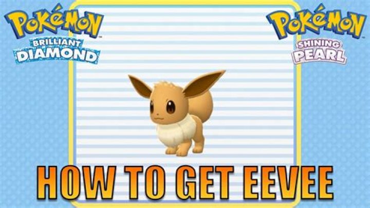 How to get Eevee in Pokemon Brilliant Diamond & Shining Pearl