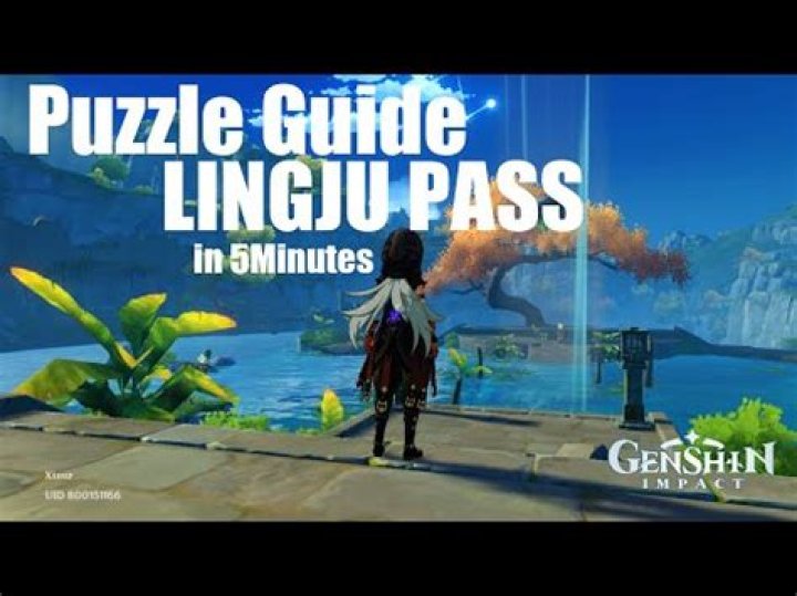 How to Solve Lingju Pass Puzzle